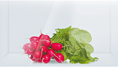 Двухкамерный холодильник Bosch KGV 39XW20 R в Санкт-Петербурге