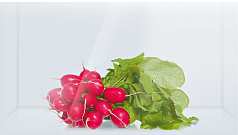 Двухкамерный холодильник Bosch KGE 39AW30 R в Санкт-Петербурге